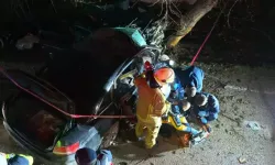 Bursa'da otomobil ağaca çarptı: 2 ölü, 2 yaralı