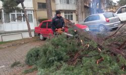 Ağaçlar devrildi, bina dış cephe kaplamaları söküldü