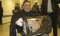 Ali Meşe (Ali Dede) kimdir, öldü mü? Ölüm nedeni ne?