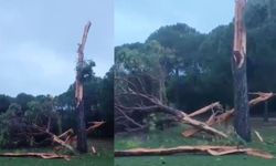 Antalya’daki Golf Sahasına Yıldırım Düştü, Ağaç Parçalandı