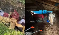 At kestikleri öne sürülen 2 şüpheli, operasyonla yakalandı