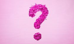 Ayşe Sağlam kimdir, evli mi? Nereli ve ne işle meşgul?