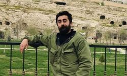 Azadi Kaya kimdir, kaç yaşında, nereli? Gebeş kaplumbağa ve hard kapitalizm sözlerinin perde arkası