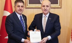 Bebek ölümleriyle ilgili kapsamlı rapor TBMM Başkanlığına sunuldu