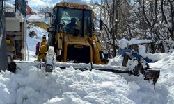 Devletten beklemedi, kardan kapanan köy yollarını kendi açtı