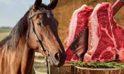 Döner ve sucukta tek tırnaklı hayvan eti skandalı: İki büyükşehir ifşa oldu