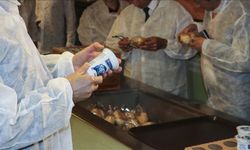 Eğitim-öğretim yılının ilk yarısında 23 bin 227 okul kantini denetlendi