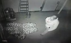 Ekmekte çirkin oyun kamerada