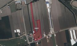 Elbistan’da icradan satılık tarla! Tarla, ev ve müştemilat bir arada