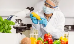 Gıda katkı maddelerinde yeni dönem: Kahramanmaraş’taki işletmelere 1 Mart 2026’ya kadar süre