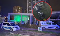 İnşaatın bodrumuna düştü, 2 metre derinlikteki suda can verdi