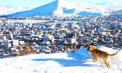 Kahramanmaraş Afşin’de kar sonrası kartpostallık görüntüler