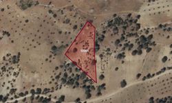 Kahramanmaraş Dulkadiroğlu’nda 4.303 metrekare tarla icradan satılıyor