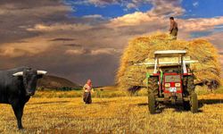 Kahramanmaraş’ta Hayvancılık ve Gıda Sektörüne 452 Milyon TL Hibe Desteği