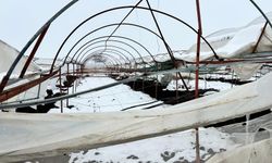 Kahramanmaraş'ta kar birikintisine dayanamayan seralar çöktü