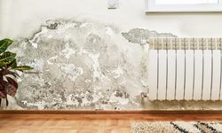 Kahramanmaraş'ta küf ve nem tehlikesi: Uzmandan önemli uyarılar