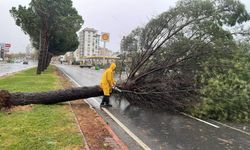 Kahramanmaraş’ta kuvvetli rüzgâr ve don uyarısı: 15 Ocak’ta dikkat