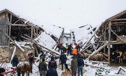 Kahramanmaraş’ta 3 Ahırın Çatısı Çöktü, 65 Büyükbaş Hayvan Telef Oldu