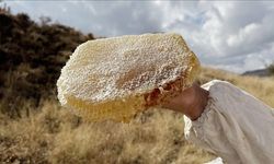 Kilosu 11 bin avro olan bal dünyanın en pahalı balı olarak Guinness Rekorlar Kitabı'na girdi