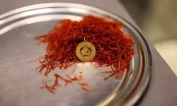 Kilosu 900 bin liraya ulaşan safran, mısır koçanı ve at kılı ile taklit ediliyor