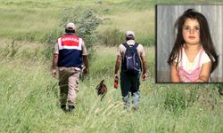 Leyla Aydemir davasında neler oluyor, amca tutuklandı mı?