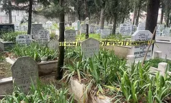 Mezarlıkta, poşette gömülü halde cenin bulundu