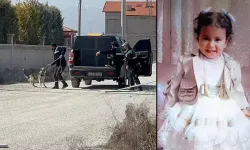 Rana'nın köpek saldırısında ölümüne ilişkin 2 belediye yetkilisi hakkında soruşturma izni