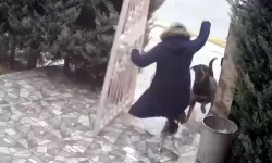 Sahipsiz Köpeklerin Saldırdığı Kadını Komşusu Son Anda Kurtardı