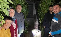 Termometreler eksiyi gördü, zirai don nöbeti başladı