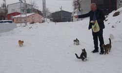 Yaklaşık 2 bin nüfuslu köyde kışın sadece bir aile yaşıyor