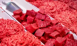 Zincir marketler et fiyatlarını sabitledi