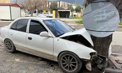 17 yaşında direksiyona geçti, ağaca çarptı! Ehliyetsiz sürücüye 46 bin TL ceza