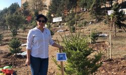 Oğlunun acısına yüreği dayanmadı: Mezar başında kalp krizi geçiren anne hayatını kaybetti