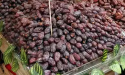 Açıkta satılan, buzdolabında saklanan hurmada, 'kanserojen aflatoksin' riski