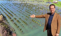 Adana’daki sel felaketi tarım arazilerini sular altında bıraktı