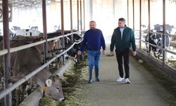 Kahramanmaraş depremlerinde 57 hayvanı telef oldu, şimdi 547 hayvanı var