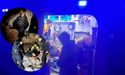 Alanya’da kayalıklardan düşen şahıs sağ salim kurtarıldı