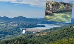 Aslantaş Barajı'nda yıllar sonra su tahliyesi başladı