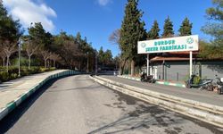 Burdur’da Fabrikada Bakım Çalışması Kazayla Bitti