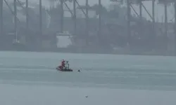 Bursa'da denizde erkek ces*di bulundu