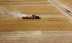 Kahramanmaraşlı çiftçiler için kritik süre: Son gün 15 Nisan