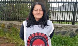 DGD-SEN Genel Başkanı Neslihan Acar kimdir?