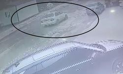 Ehliyetsiz sürücünün kontrolünü kaybettiği otomobil ağaca çarptı... O anlar kamerada