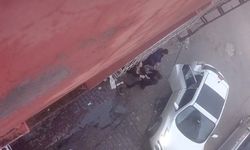 Eski eşini sokak ortasında darbeden şahıs gözaltına alındı