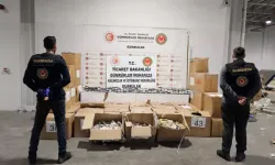 Gümrük Muhafaza birimleri 4,6 milyar liralık uyuştur*cu ele geçirdi