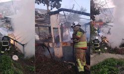 Hatay’da odunluk yangını evlere sıçramadan söndürüldü