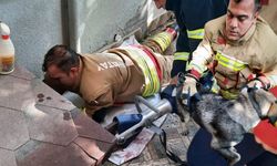Havalandırma boşluğuna düşen köpek kurtarıldı