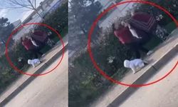 İki Kadın Dilenci Yer Kavgası Yaptı