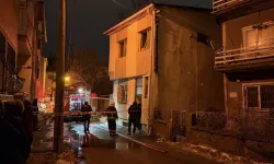 İki Katlı Evde Çıkan Yangında 26 Kedi Telef Oldu