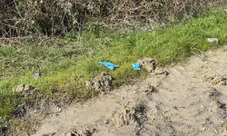 İş insanının ces*di elleri ve ayakları bağlı toprağa gömülü bulundu